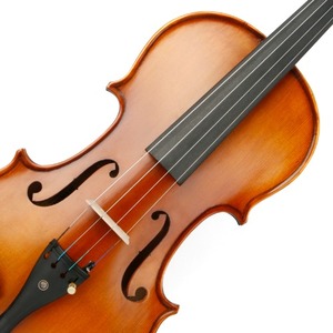 세광 바이올린 SVN-300